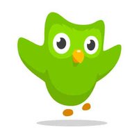 Duolingo App