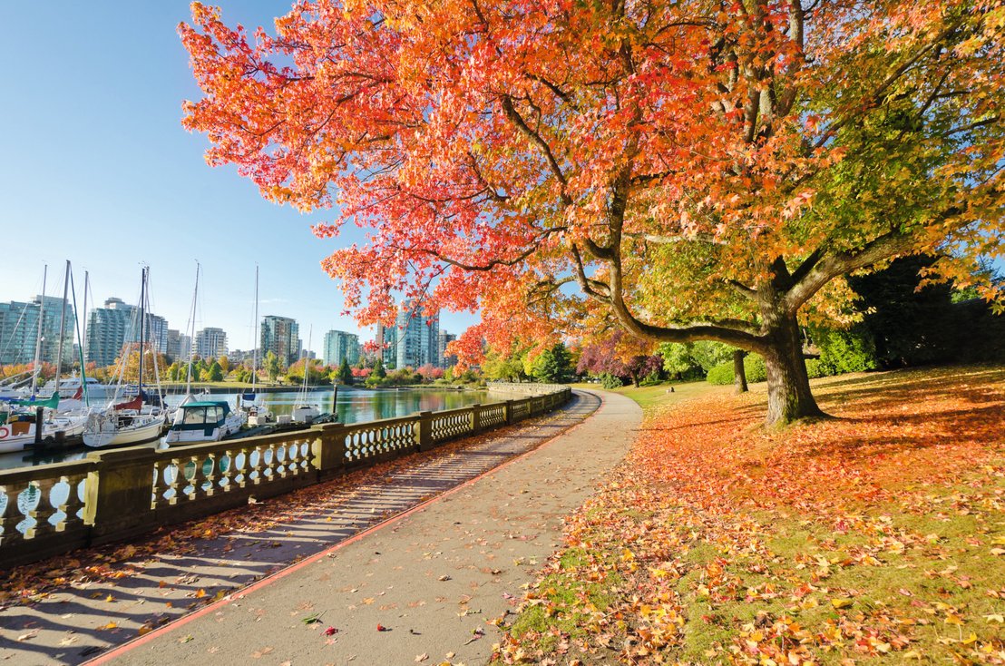 Vancouver ist auch im Herbst eine wahre Schönheit.