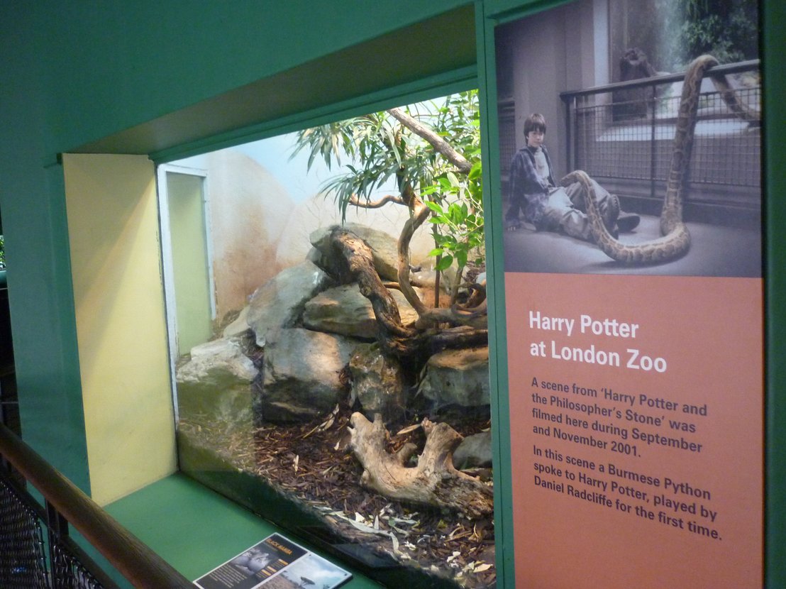Harry traf im Londoner Zoo eine Schlange