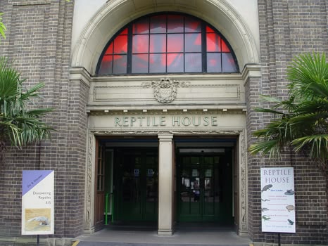 Reptilienhaus London Zoo Reptilienhaus im ZSL London Zoo.