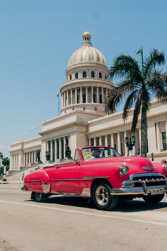 Ein klassisches rosafarbenes Auto fährt an El Capitolio in Havanna, Kuba, mit Palmen und blauem Himmel vorbei.