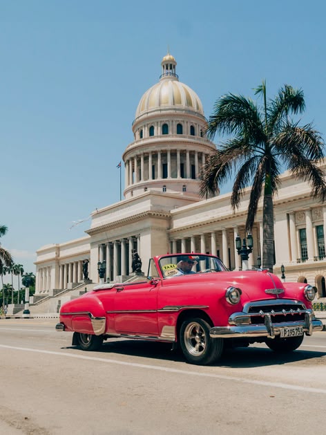 Classic pink car driving past El Capitolio in Havana, Cuba, with palm trees and clear blue sky.