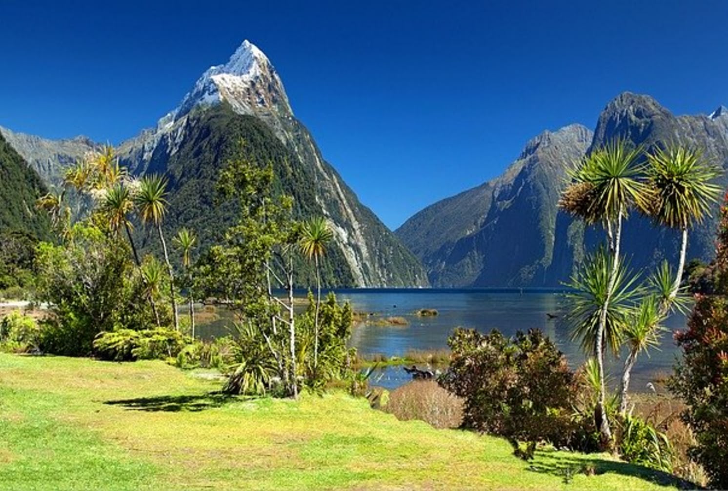 Aupair Nueva Zelanda