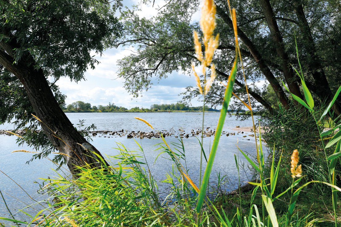 Elbe Lauenberg Elbe Lauenberg