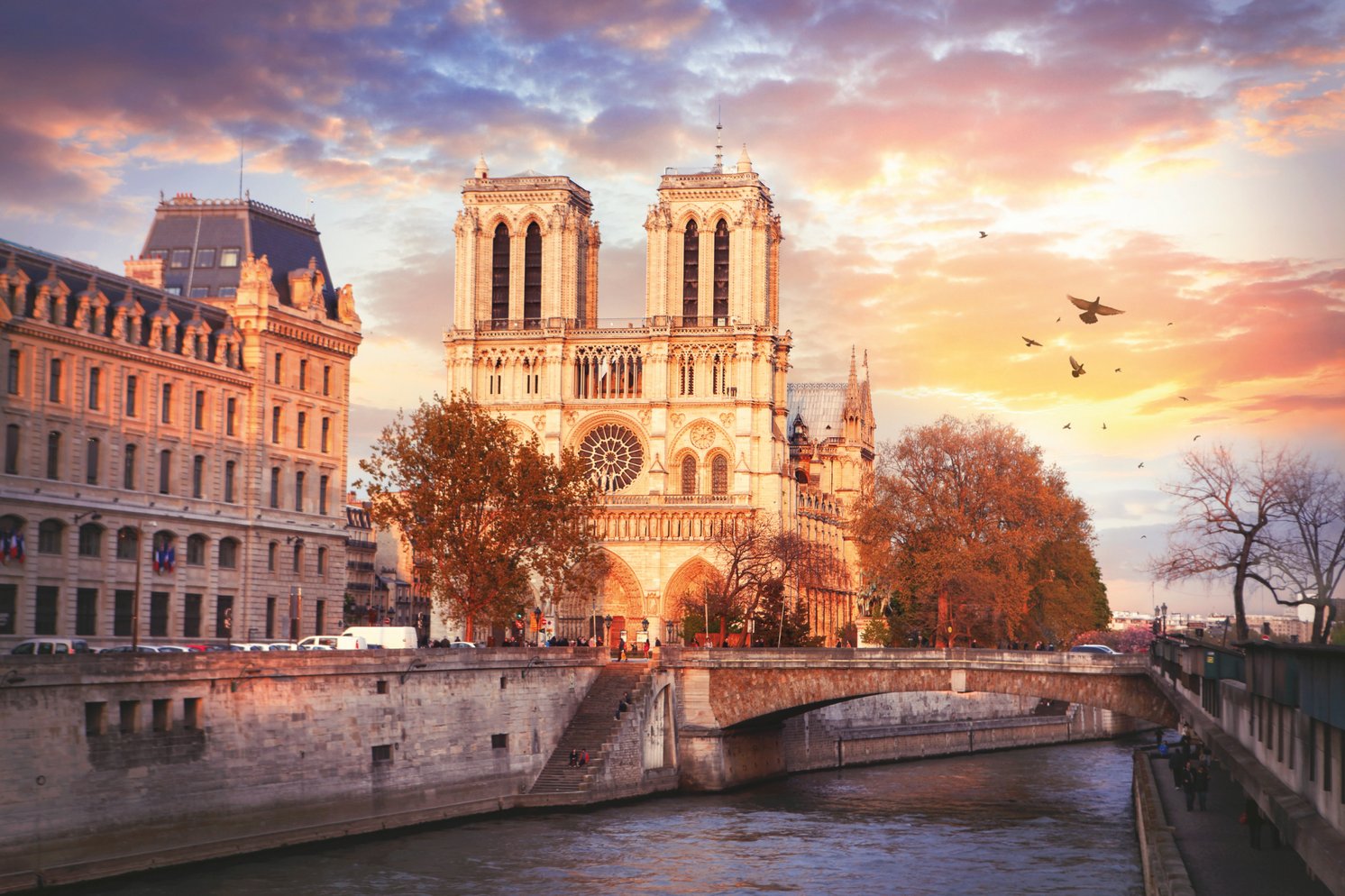 Katedra Notre Dame w Paryżu