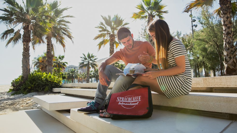 Zwei Sprachcaffe-Schüler sitzen am Strand in Spanien und lesen eine Landkarte mit Palmen im Hintergrund.