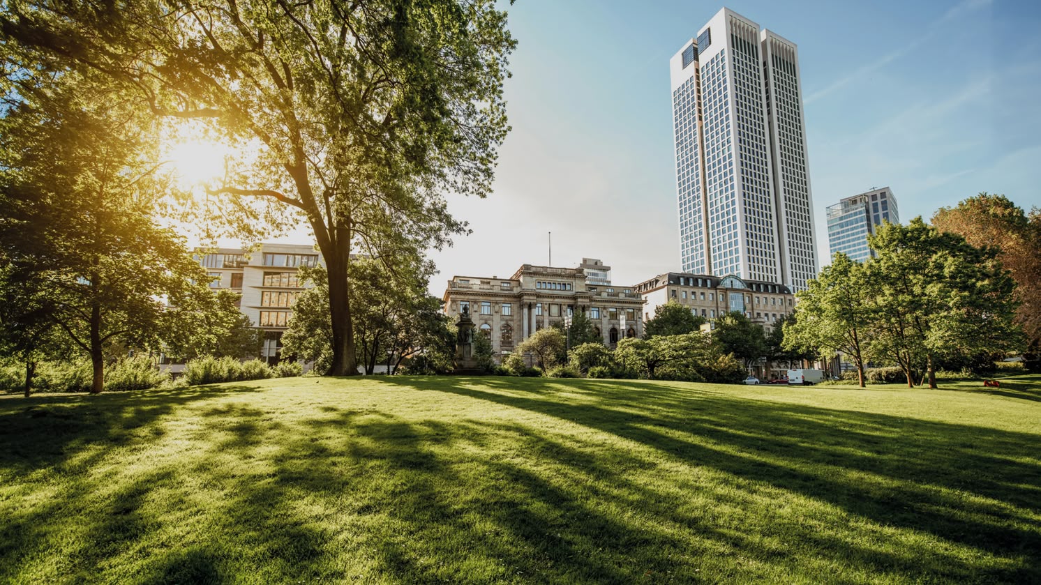 Sonniger Park in Frankfurt, Deutschland, mit modernen Wolkenkratzern und grünen Freiflächen im Vordergrund.