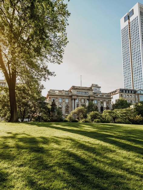 Sunny park in Frankfurt, Germany, with modern skyscrapers and green open space in the foreground.