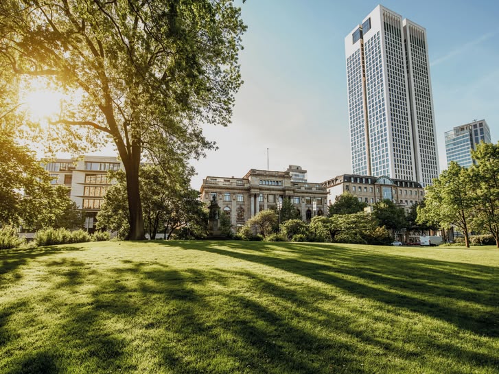 Sunny park in Frankfurt, Germany, with modern skyscrapers and green open space in the foreground.