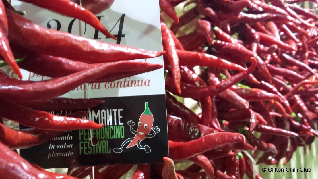 Diamante Peperoncino (Chilli) Festival Vlog our trip and adventure